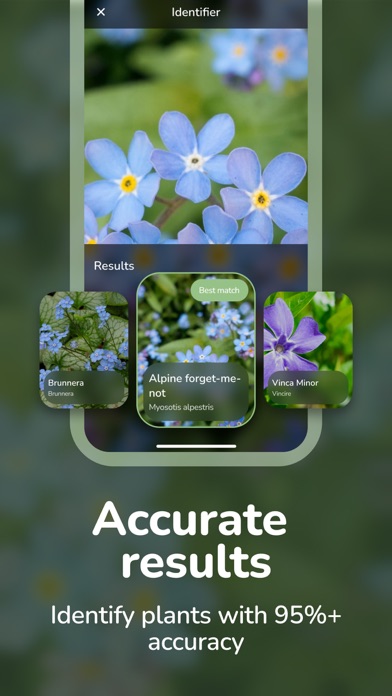 Plant ID - Flower Identifier Screenshot
