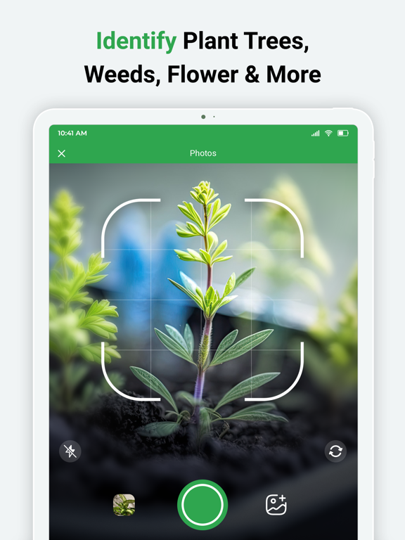 Plant Identify By Camera Scan iPad screenshot 2 - Utilities app
