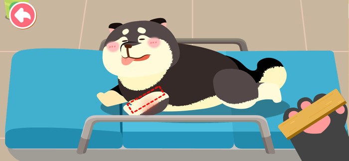 Baby Pandas Pet Care Center