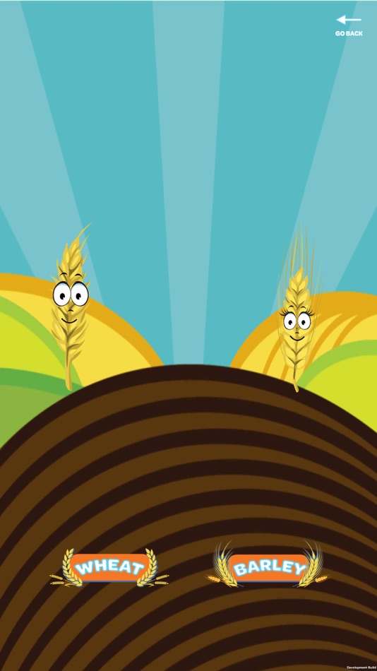 #6. Grain Gallery AR (iOS) Podle: Red Iron Labs