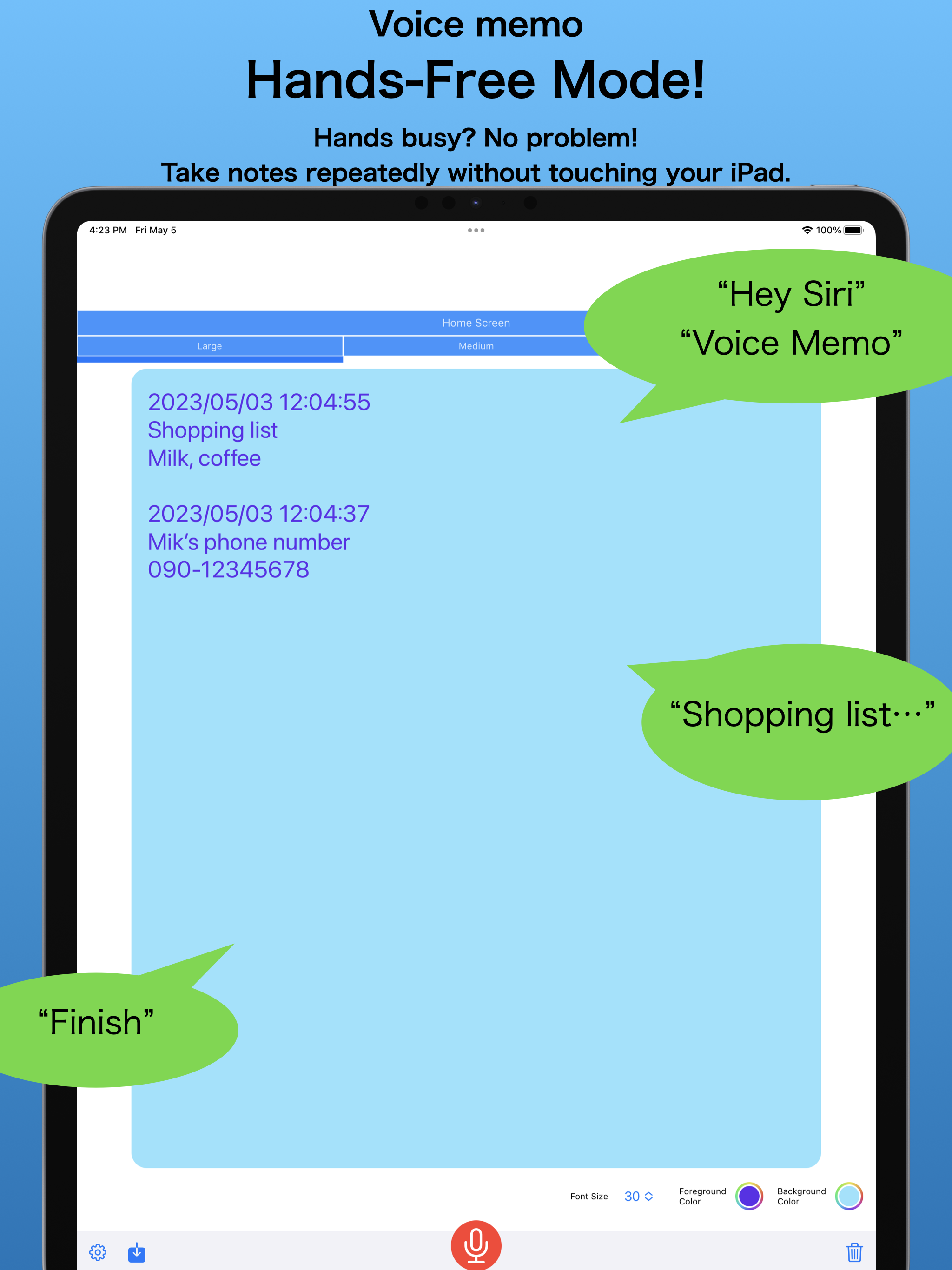 Voice Widget Memo