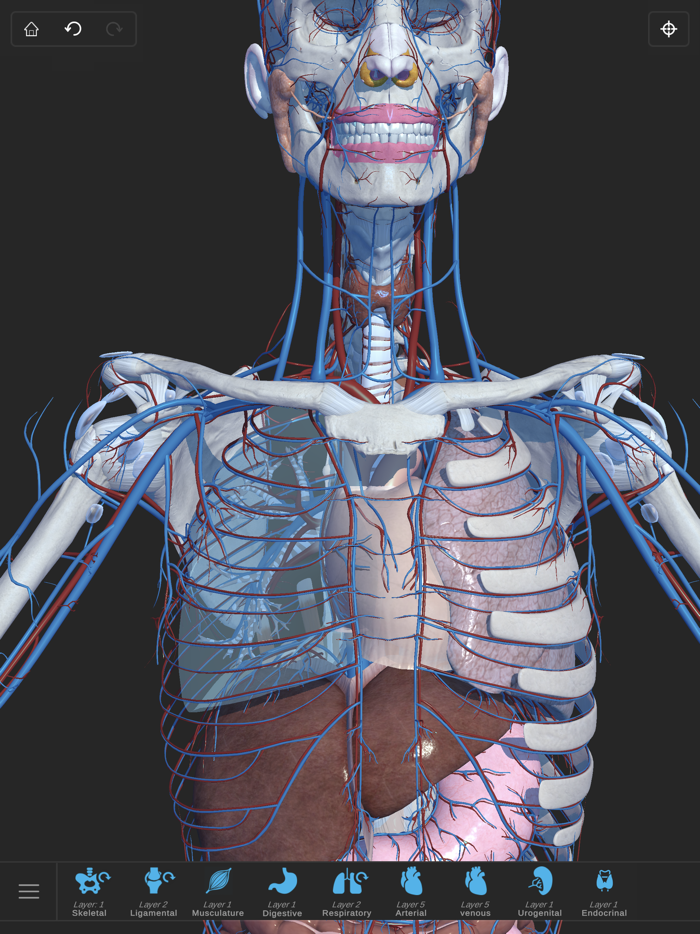 Visual Anatomy 3D - Human