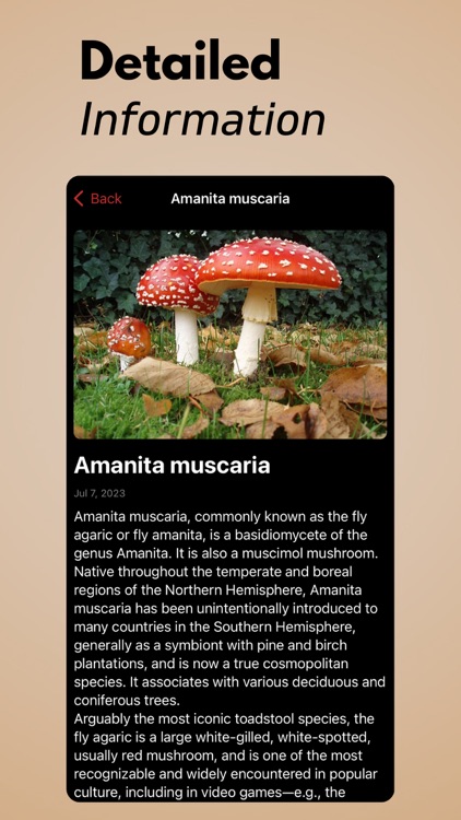 Mushroom Identification+