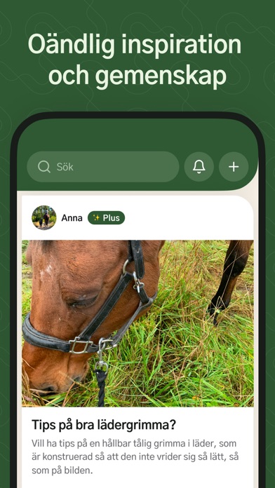 HayHay: För häst & ridning Screenshot