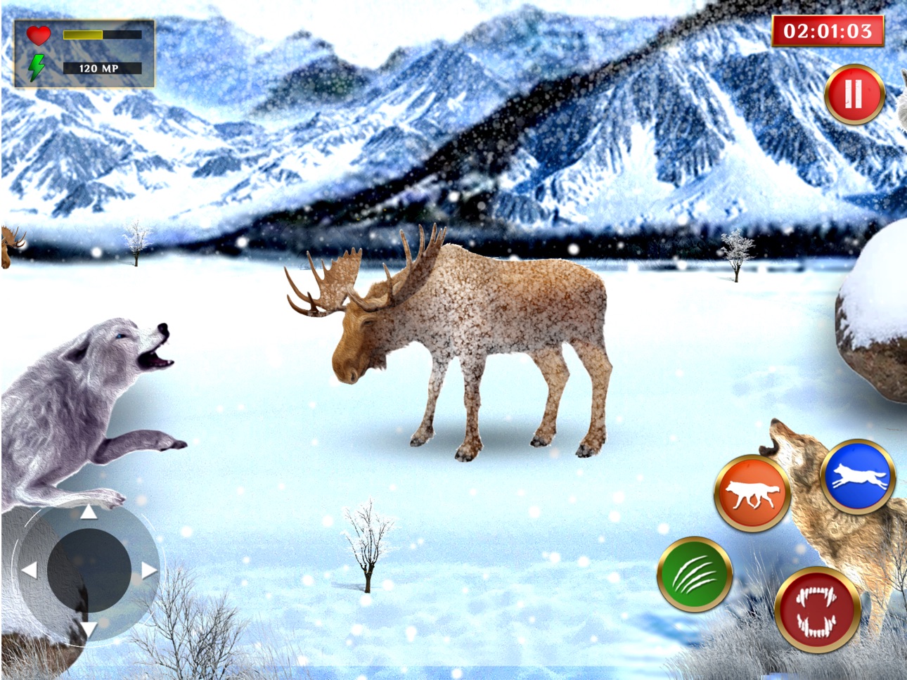 iPad screenshot