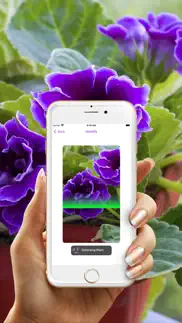 plantme айфон картинки 3