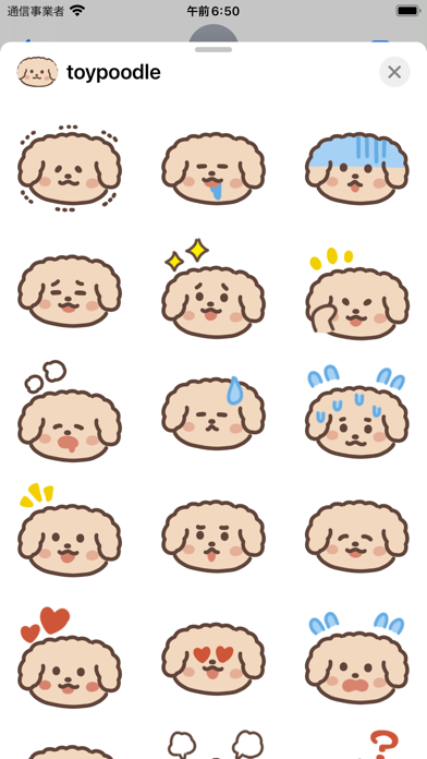 toy poodle sticker Screenshot