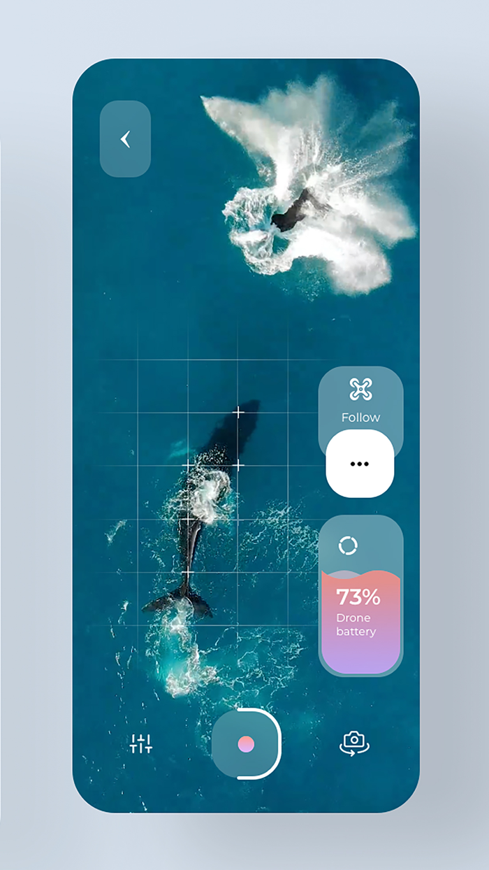 RC FPV-Drone Remote Controller