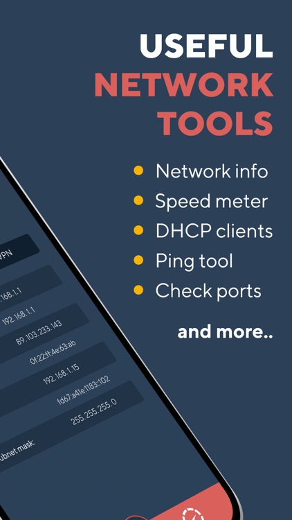 Network Analyzer Master: Loopa