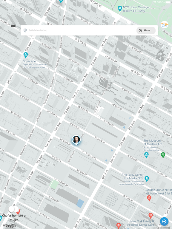 Screenshot #4 pour WayCab DM