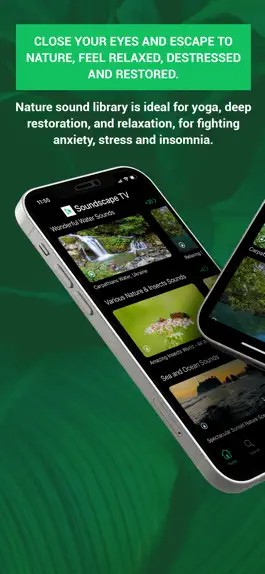 Game screenshot Nature Soundscape TV apk