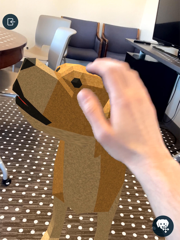 Petricore AR Experiments