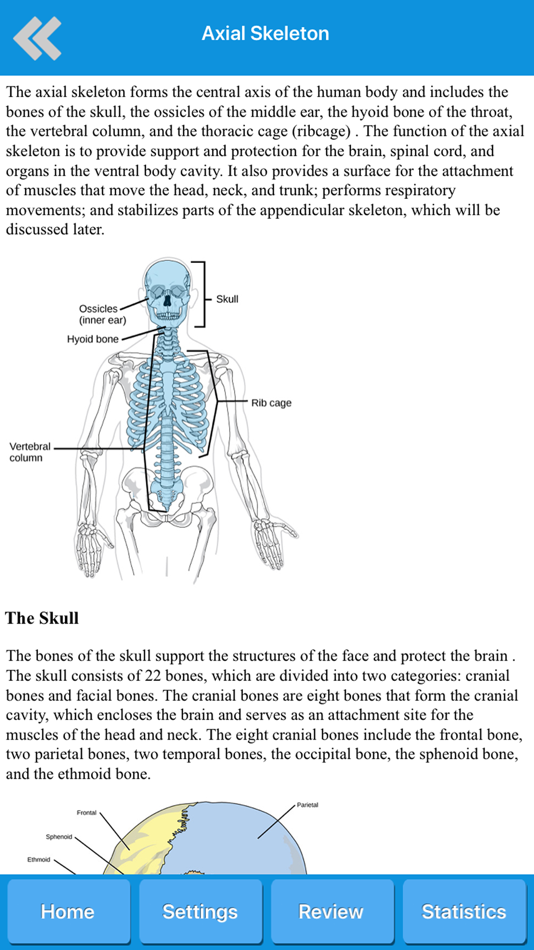 #3. Skeletal System Anatomy (iOS) 由: Hasan Cakir
