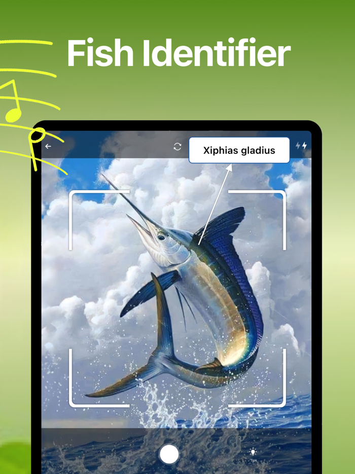 Bird Song Identifier Sounds ID