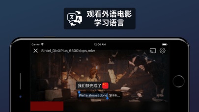 Liquid Player: 观看离线视频并翻译