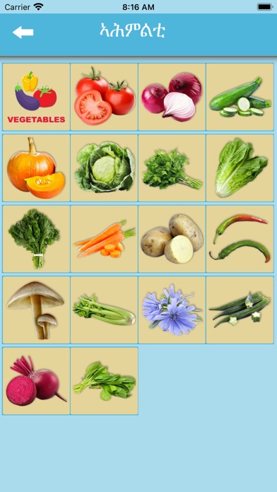 iLearn Tigrigna Words Screenshot