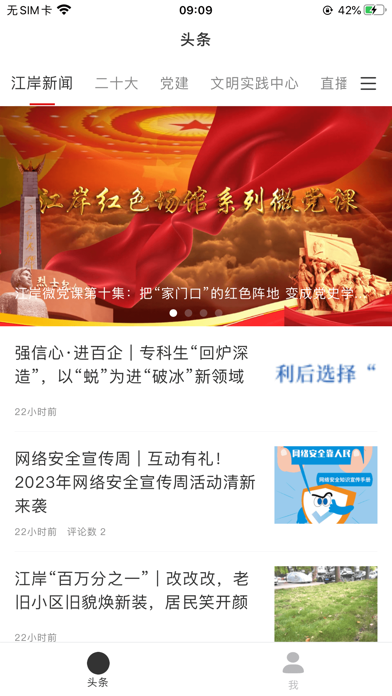 大江金岸