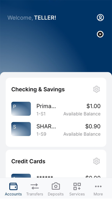 Eagle One Federal Credit Union Screenshot
