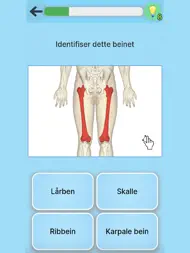 Anatomi Pro ipad bilder 1