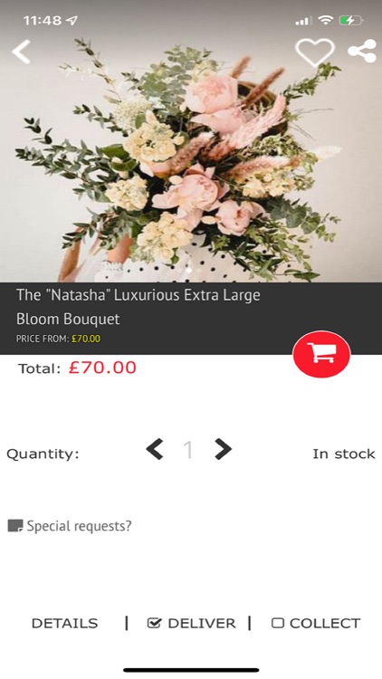 Create & Wild, East Sheen