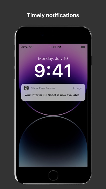 Silver Fern Farmer screenshot-4