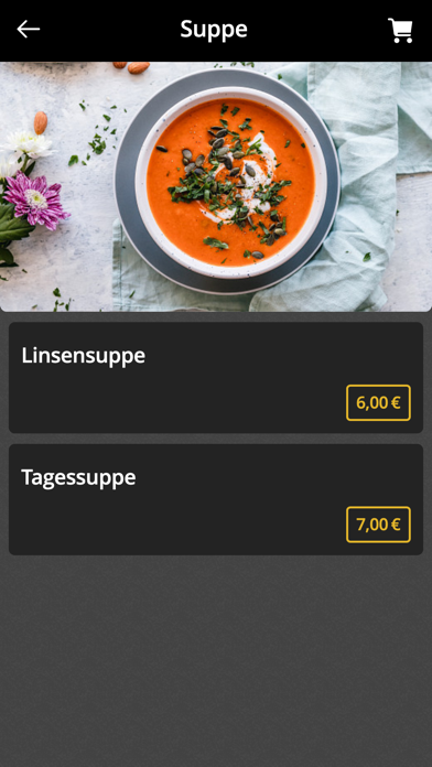 Ayliz Döner & Pizzeria Mainz Screenshot