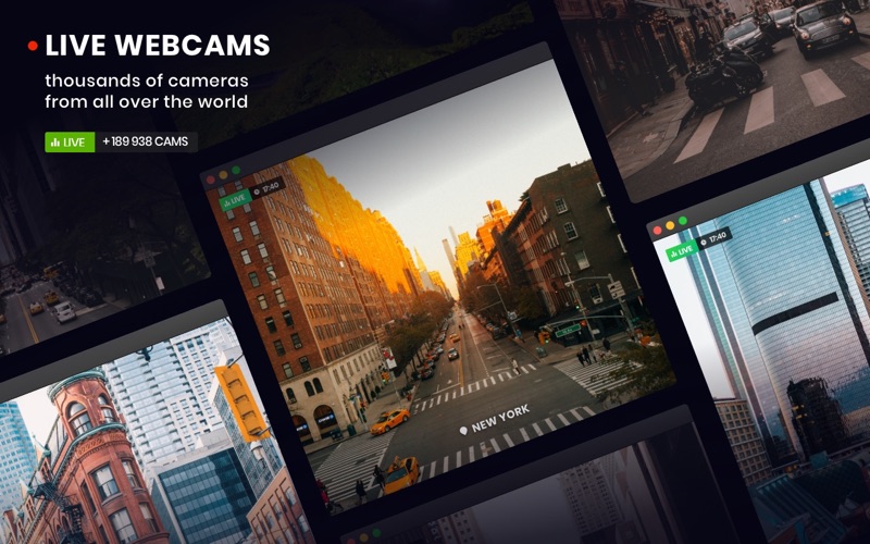 Webcam World View with AI Screenshot