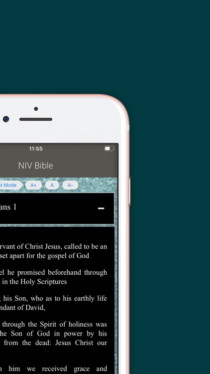NIV Bible Offline screenshot-4