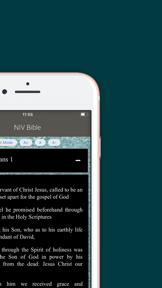 #5. NIV Bible Offline (iOS) 由: VIRGILIO MARTINEZ TERRER