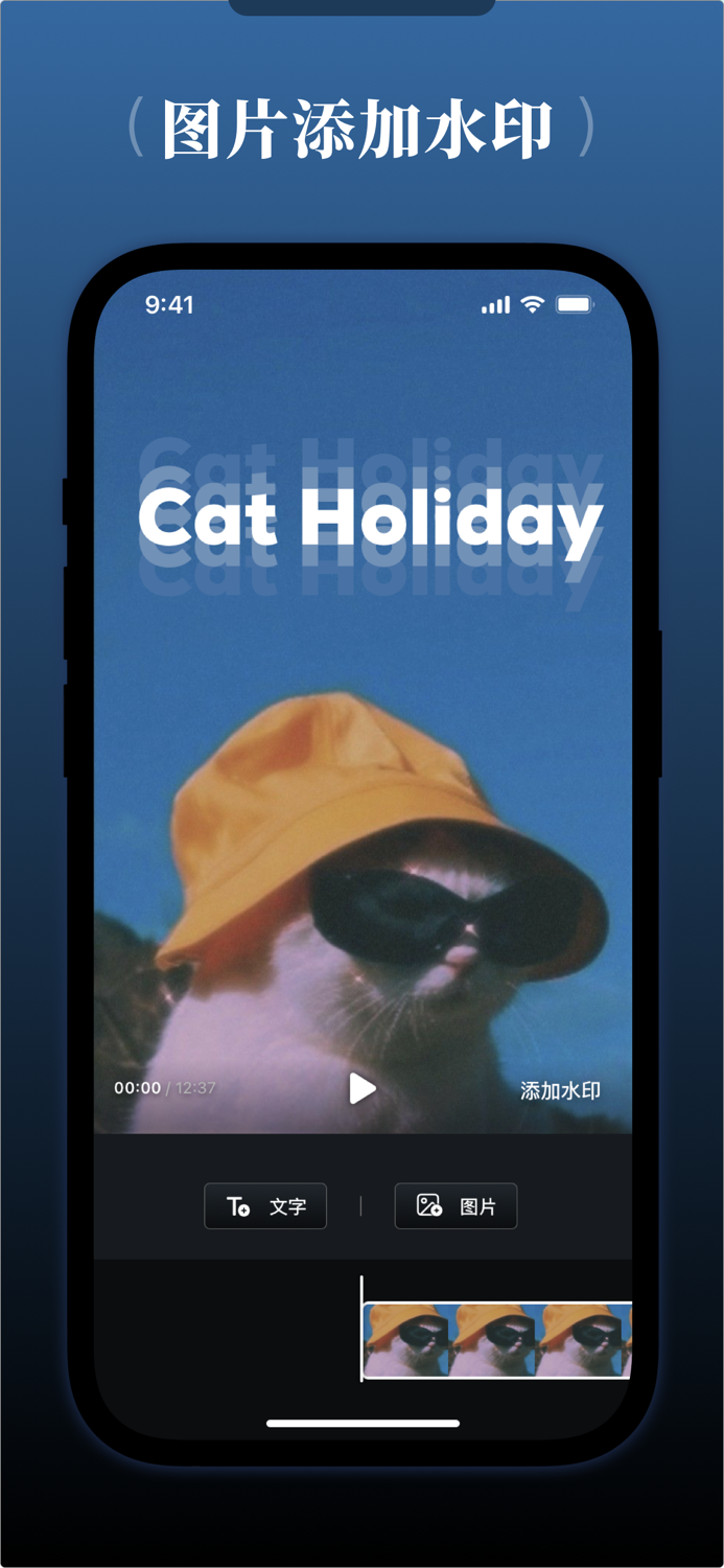 视频水印宝 – 神奇的水印处理工具