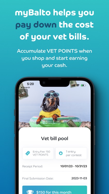 myBalto | Pays your vet bills!