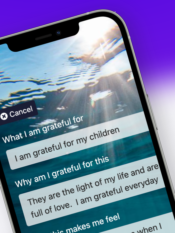 Everyday Gratitude Journal