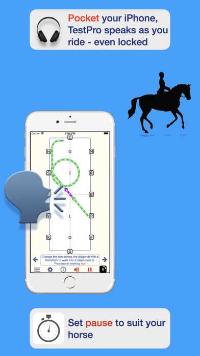 TestPro Dressage Ireland Screenshot
