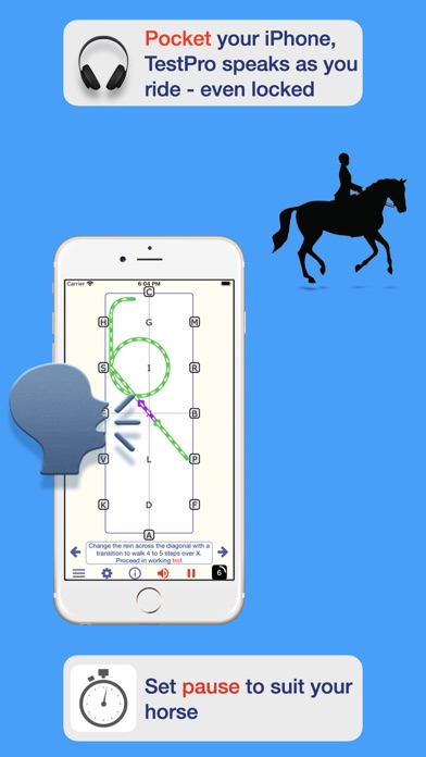 TestPro Dressage Irelandのおすすめ画像3