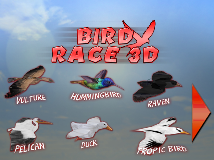 Bird Race 3D