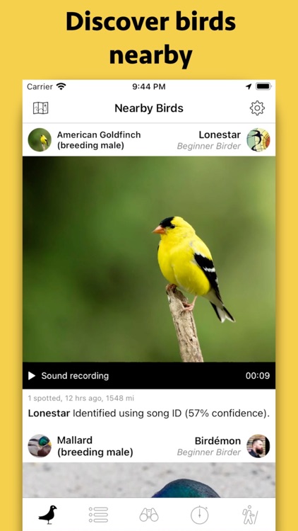Smart Bird ID screenshot-0