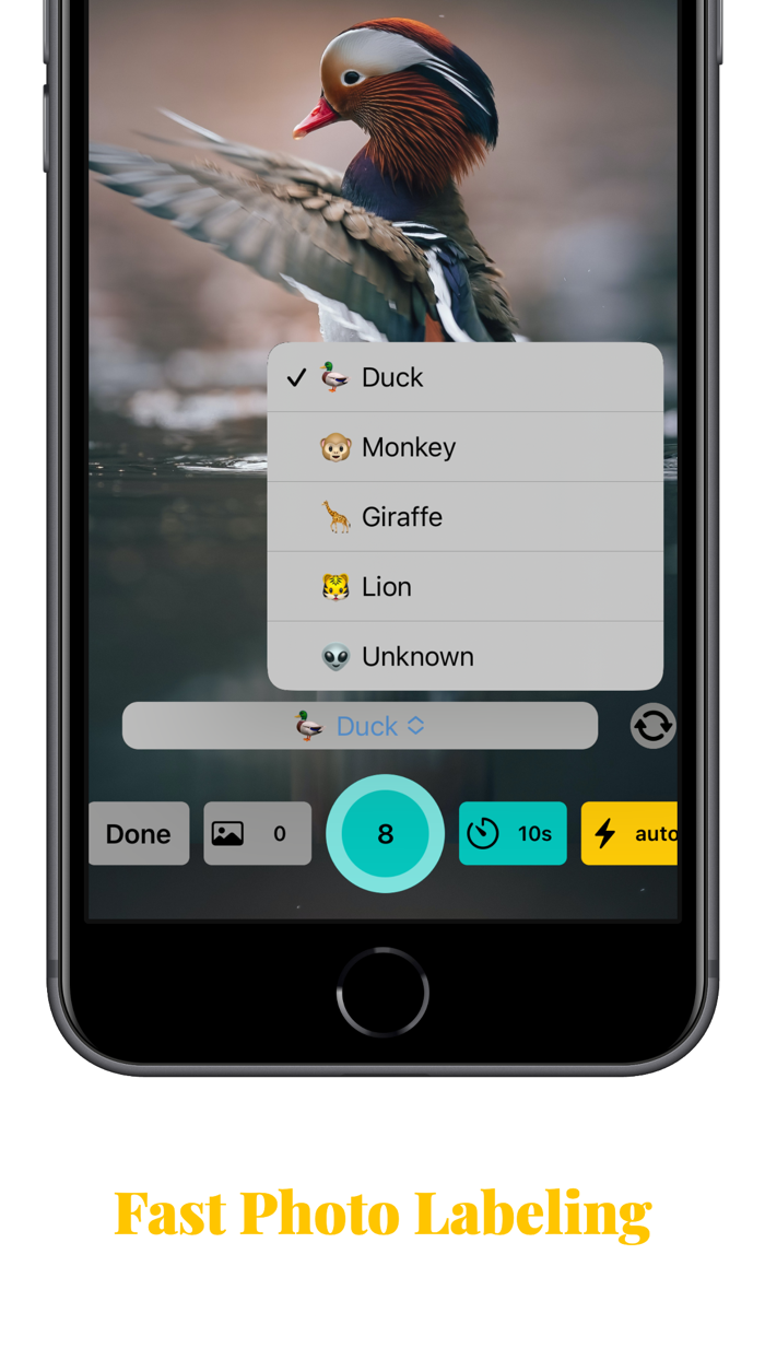 AI Capture Data Labeling