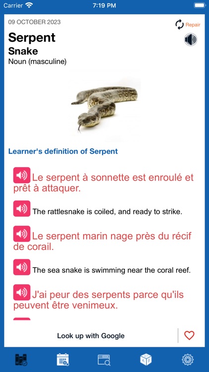 French - Word of the Day