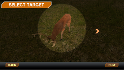 SGN Sports Wild Game Hunting Screenshot