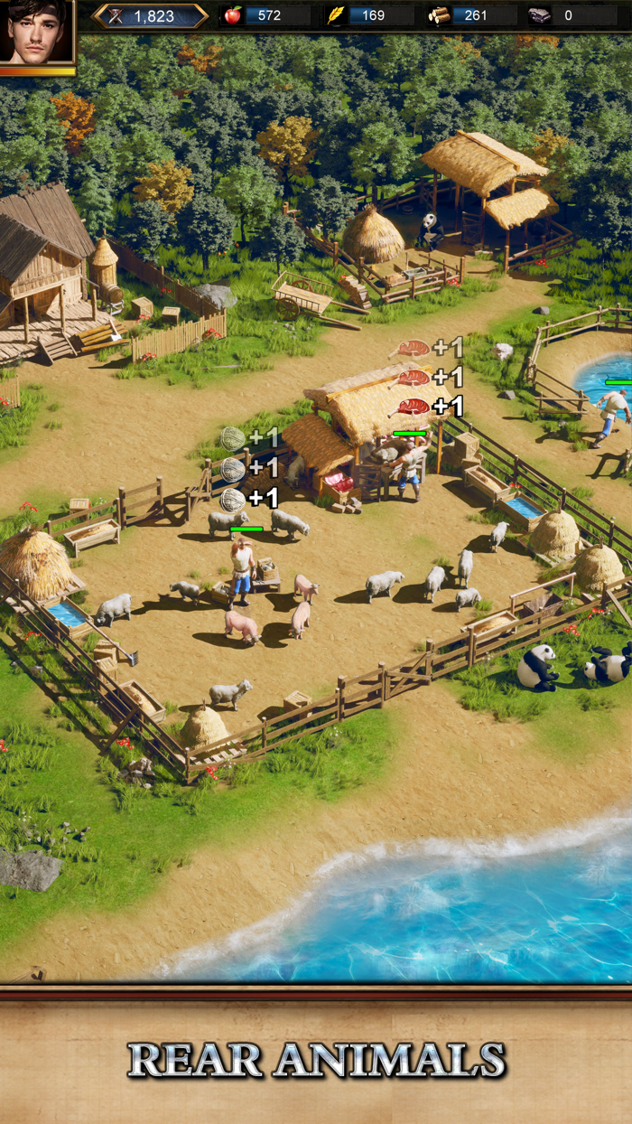 Rise of Castles Fire and War