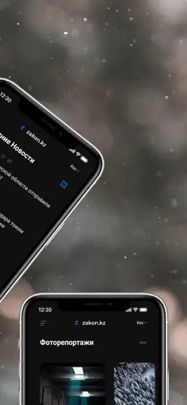 Game screenshot Zakon.kz hack