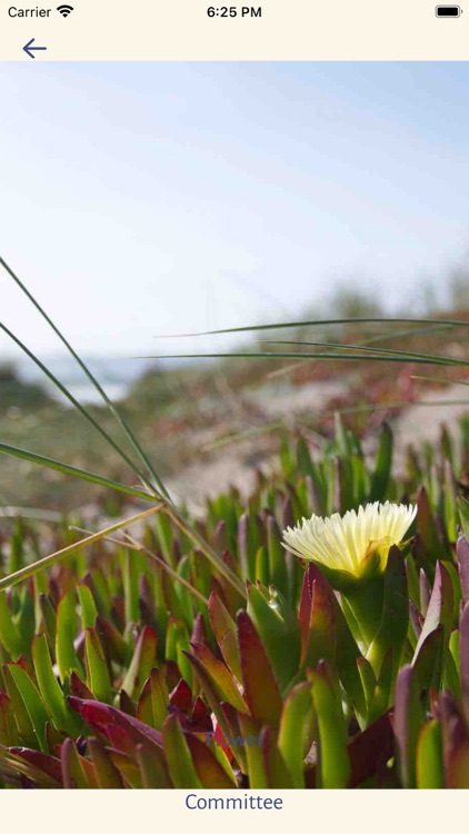 SoulCollage screenshot-5