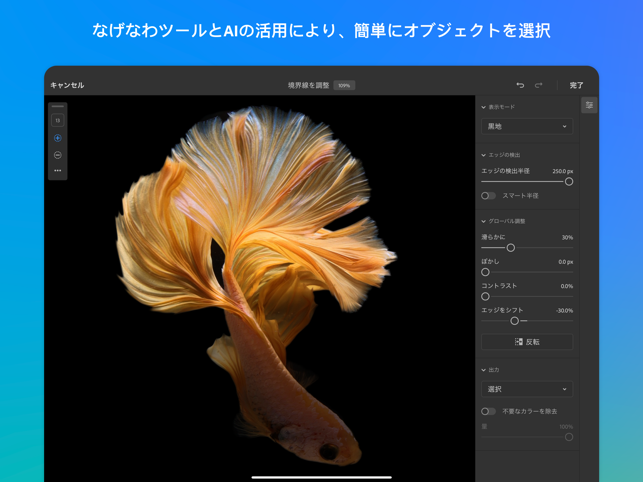 ‎Adobe Photoshop Screenshot