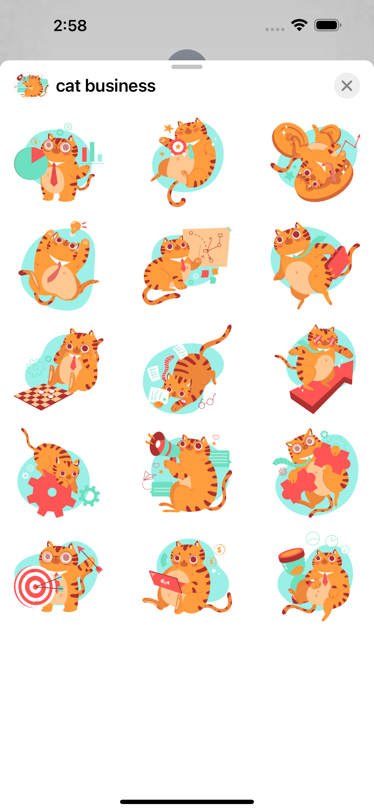 cat business