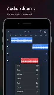 audio editor lite -sound maker iphone screenshot 1