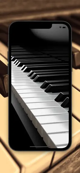 Game screenshot Piano For Iphone 2022 mod apk
