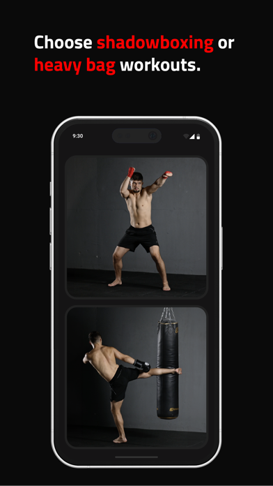 Spartan Punching Screenshot