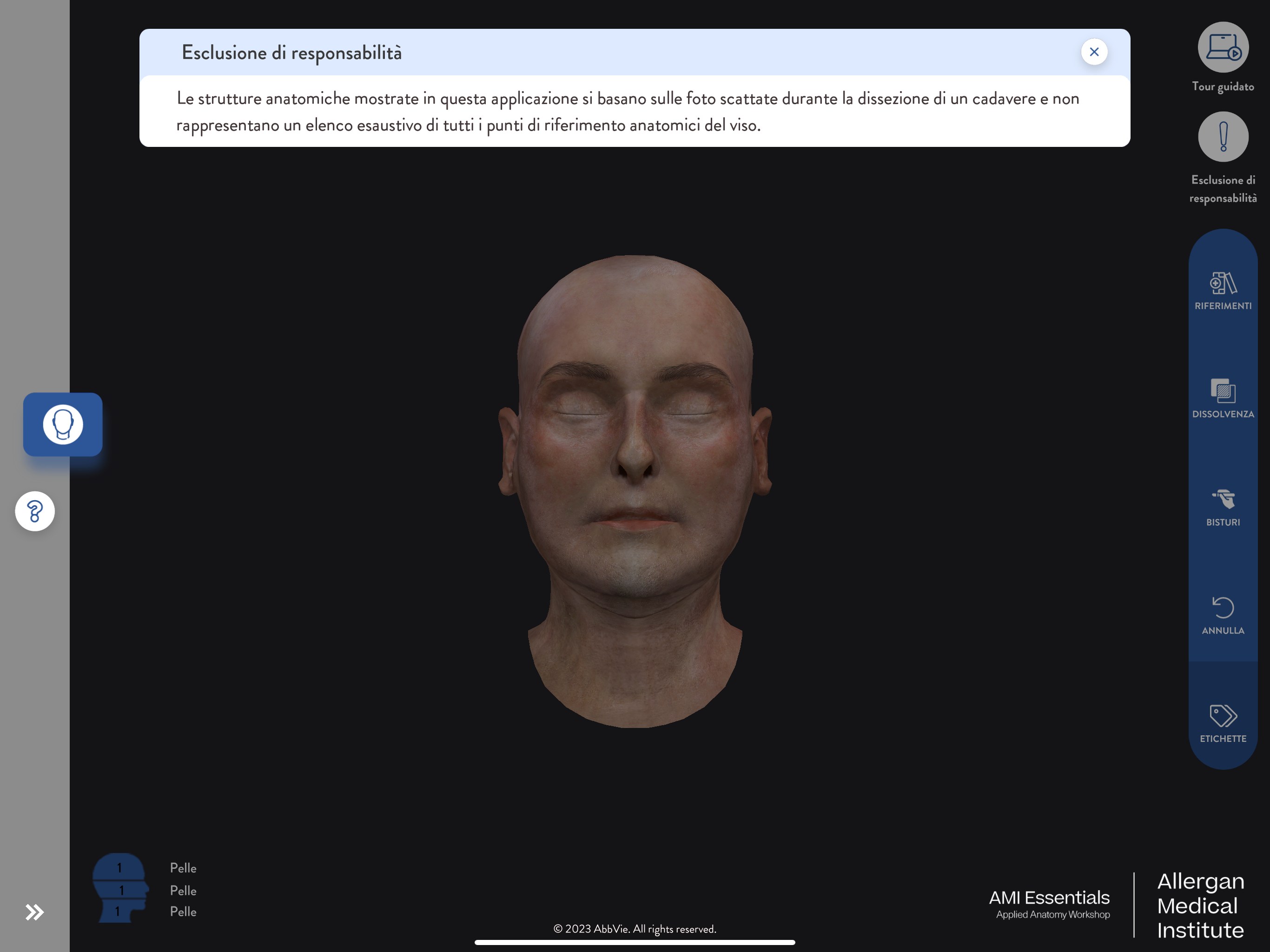 AMI Essentials: 3D Anatomy IT