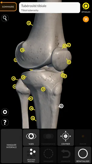 Capture d'écran de Squelette Anatomie 3D sur iPhone 6