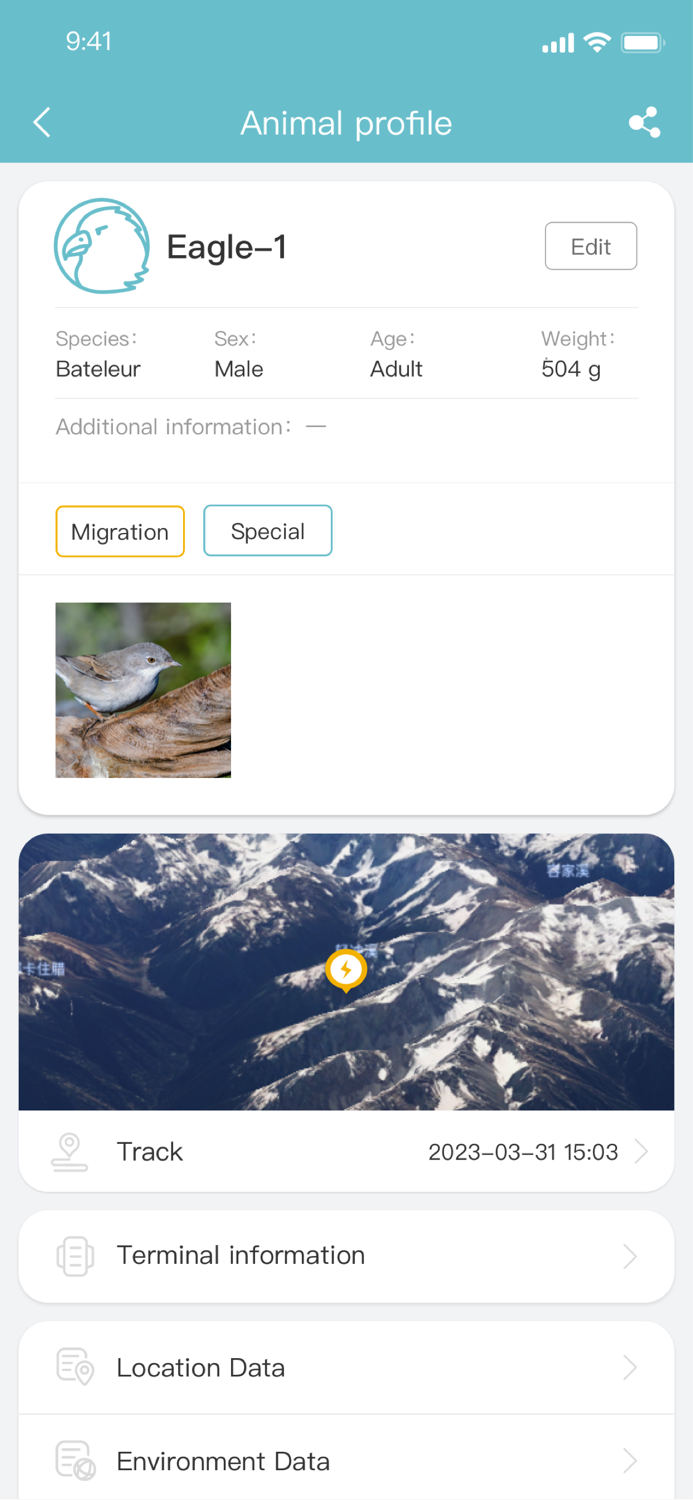 Ecotopia -Druid Animal Tracker